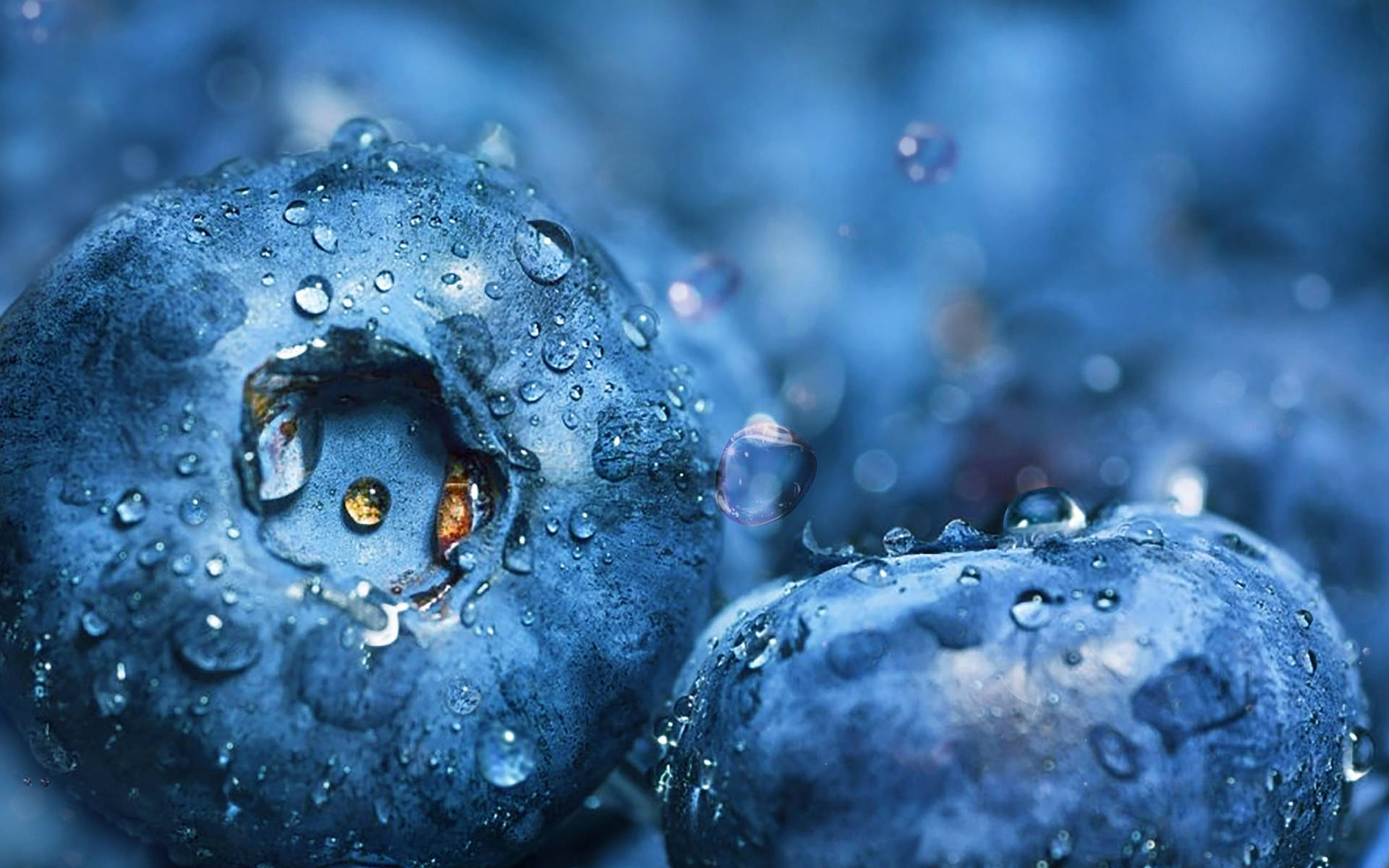 Blueberries Close Up Hotmail Wallpaper