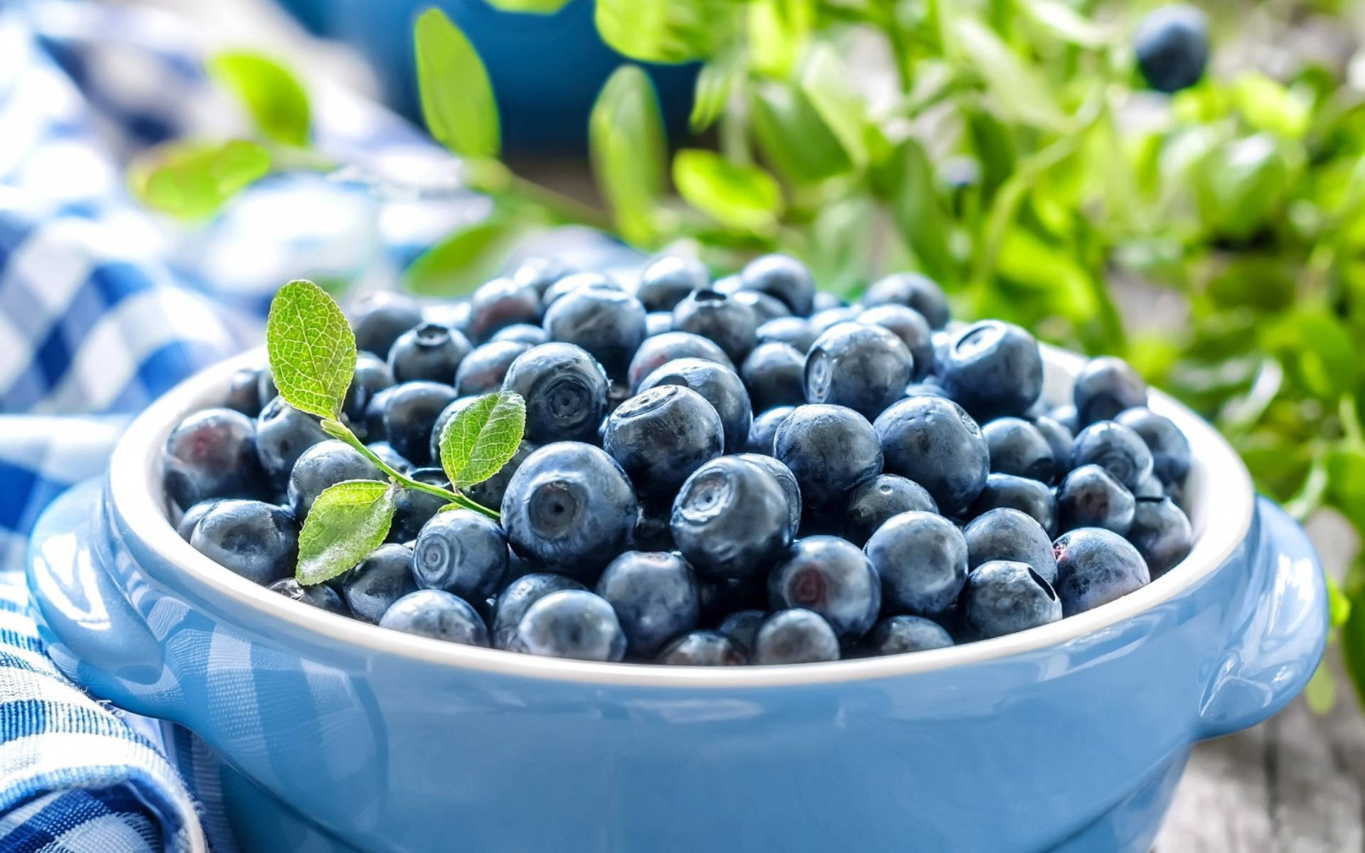 Blueberries In A Ceramic Bowl Wallpaper