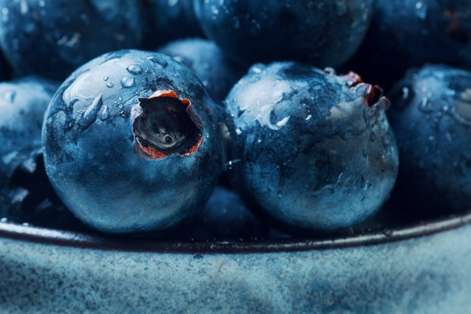 Blueberries In Daytime Wallpaper