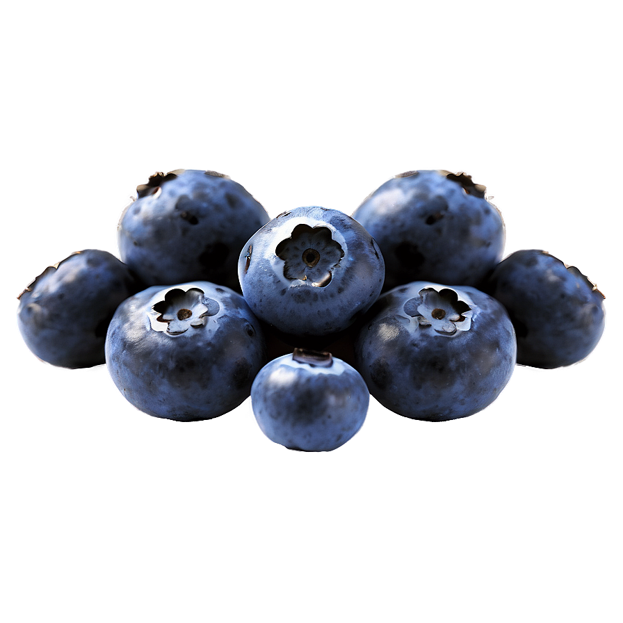 Blueberries In Sunlight Png 05242024 PNG