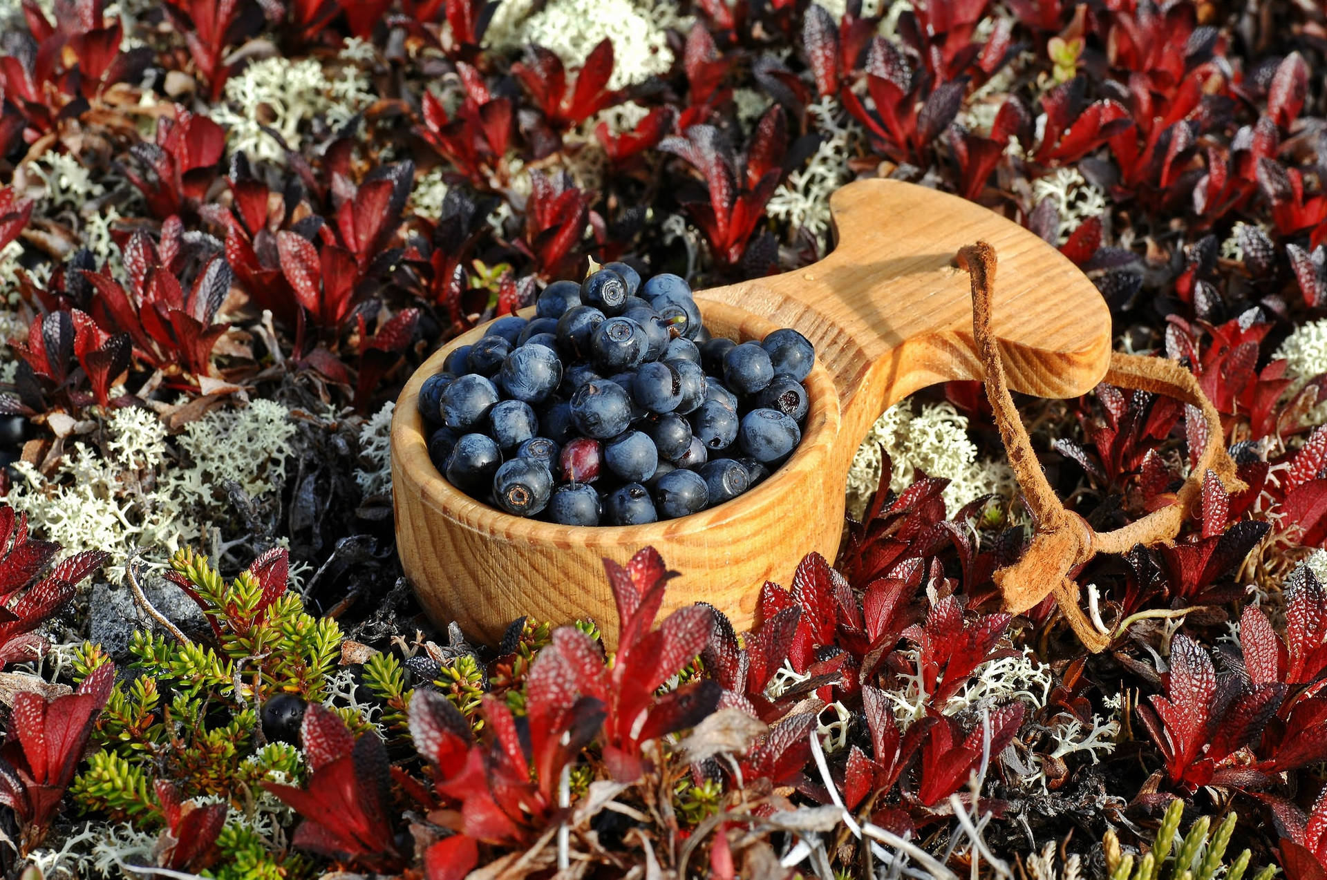 Blueberries In Wooden Bowl Wallpaper