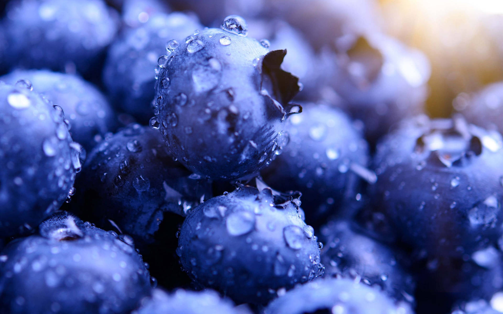 Blueberries Macro Photography Wallpaper