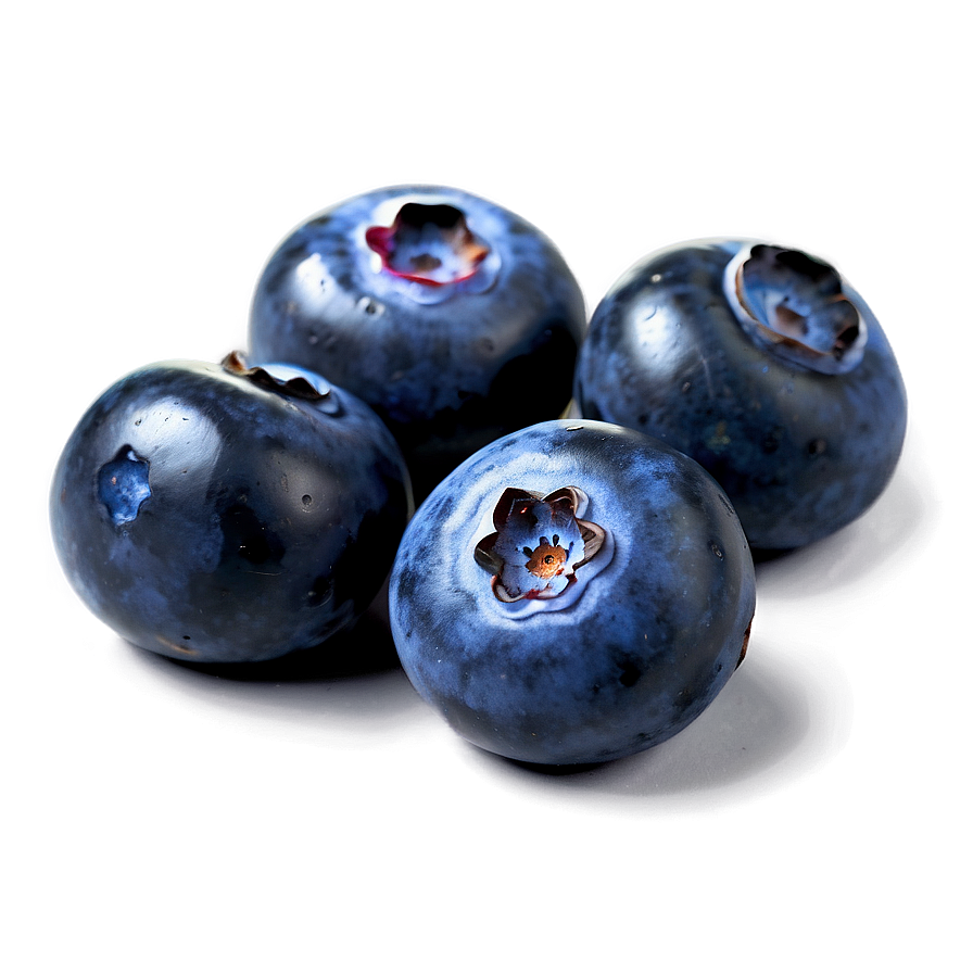 Blueberries On White Png 05242024 PNG