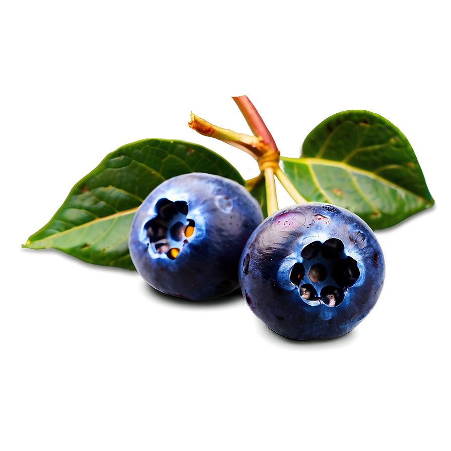 Blueberries With Flowers Png 05242024 PNG