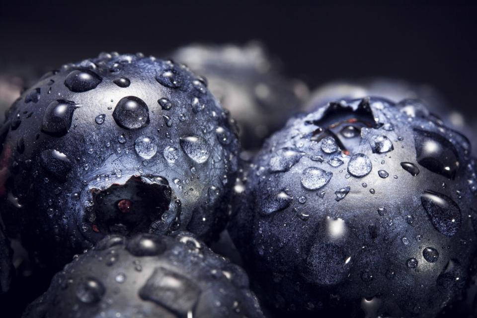 Blueberries With Water Droplets Wallpaper