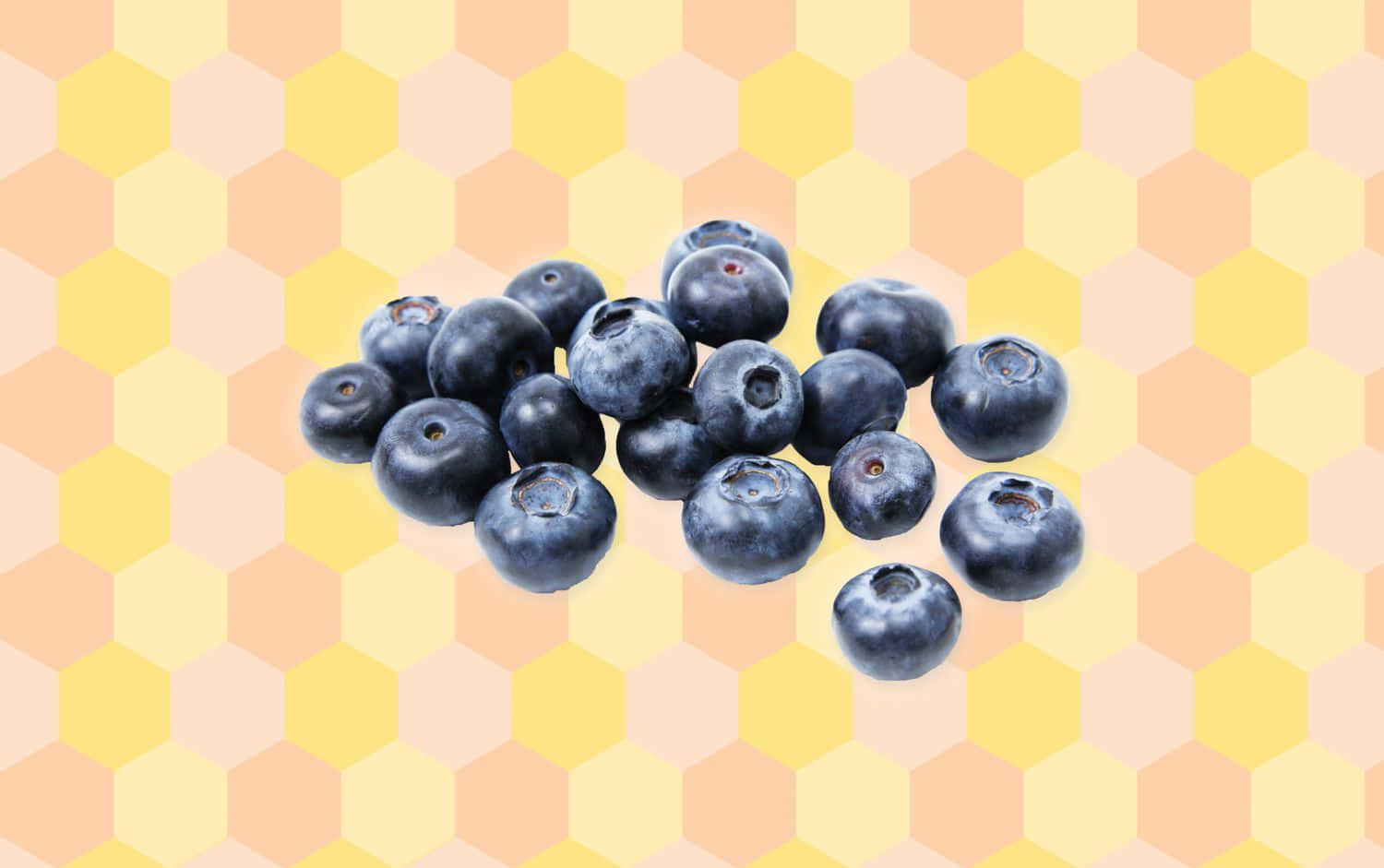 Refreshing Blueberries on a Summer's Day