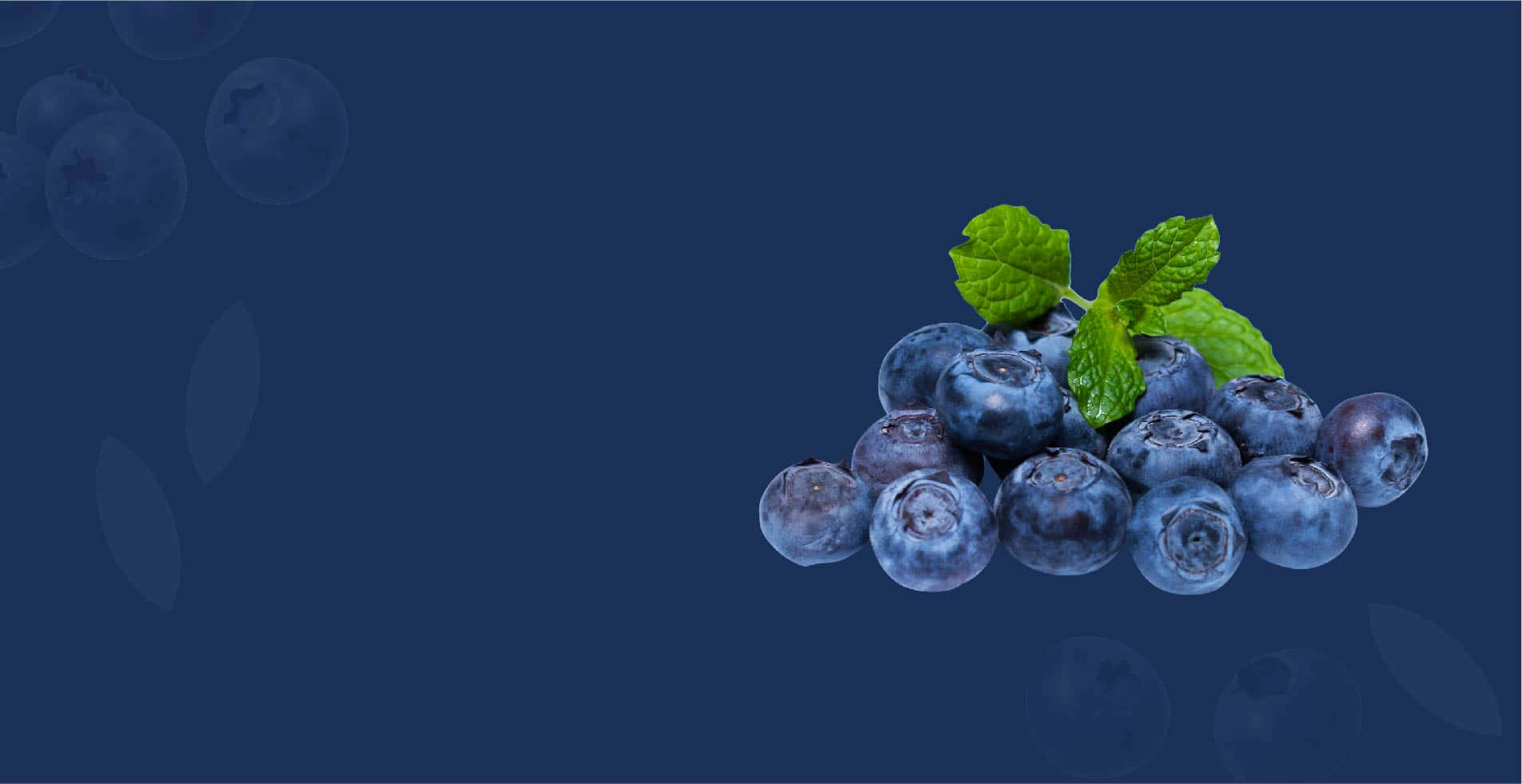 Blueberries With Mint Leaves On A Blue Background