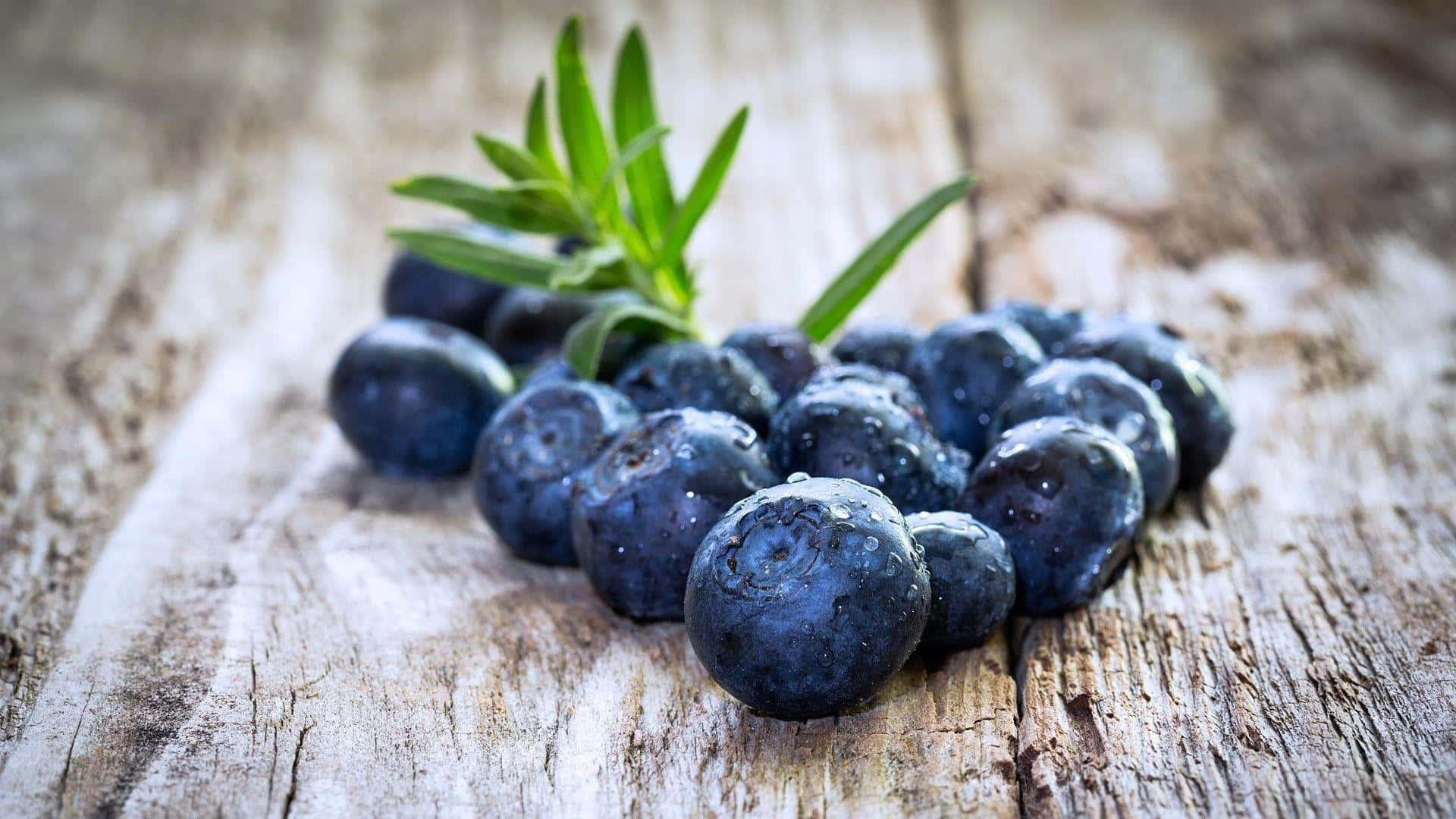 Deliciously Sweet Blueberries