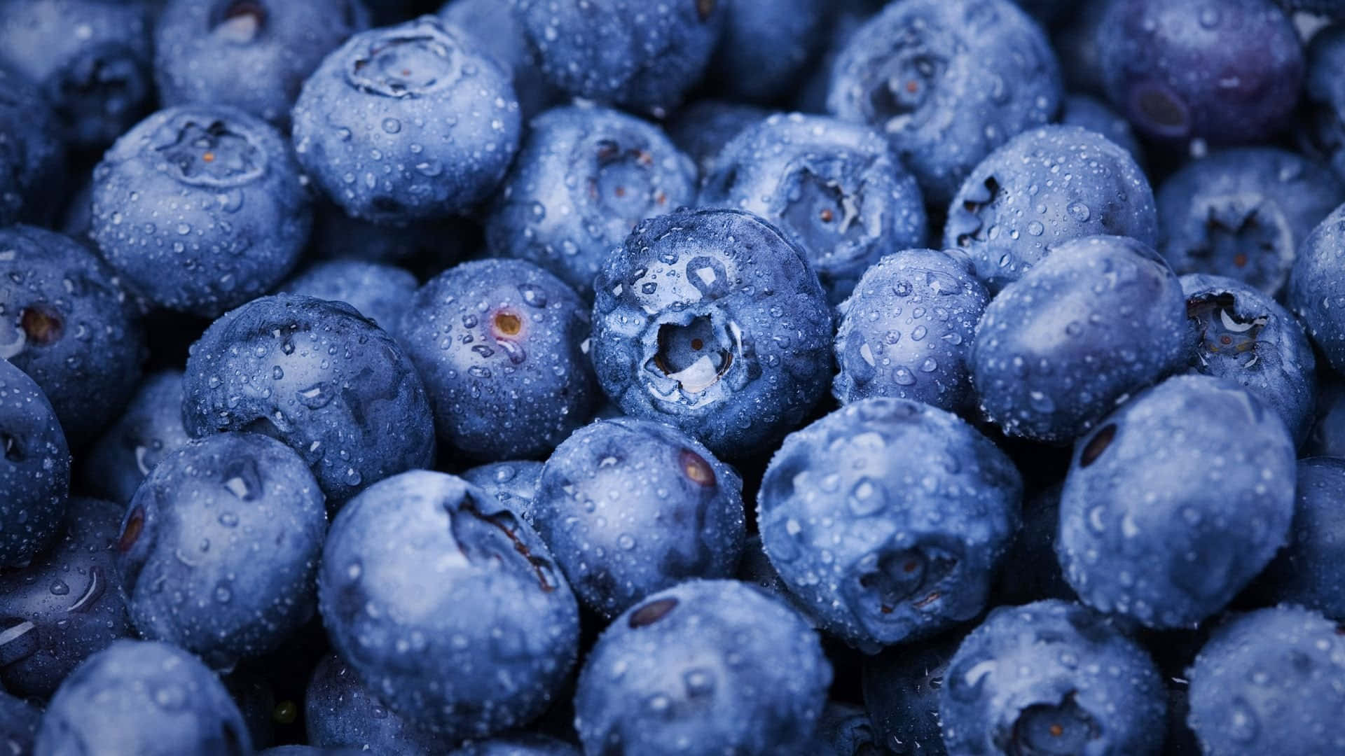 Blueberries Are Piled Up In A Pile