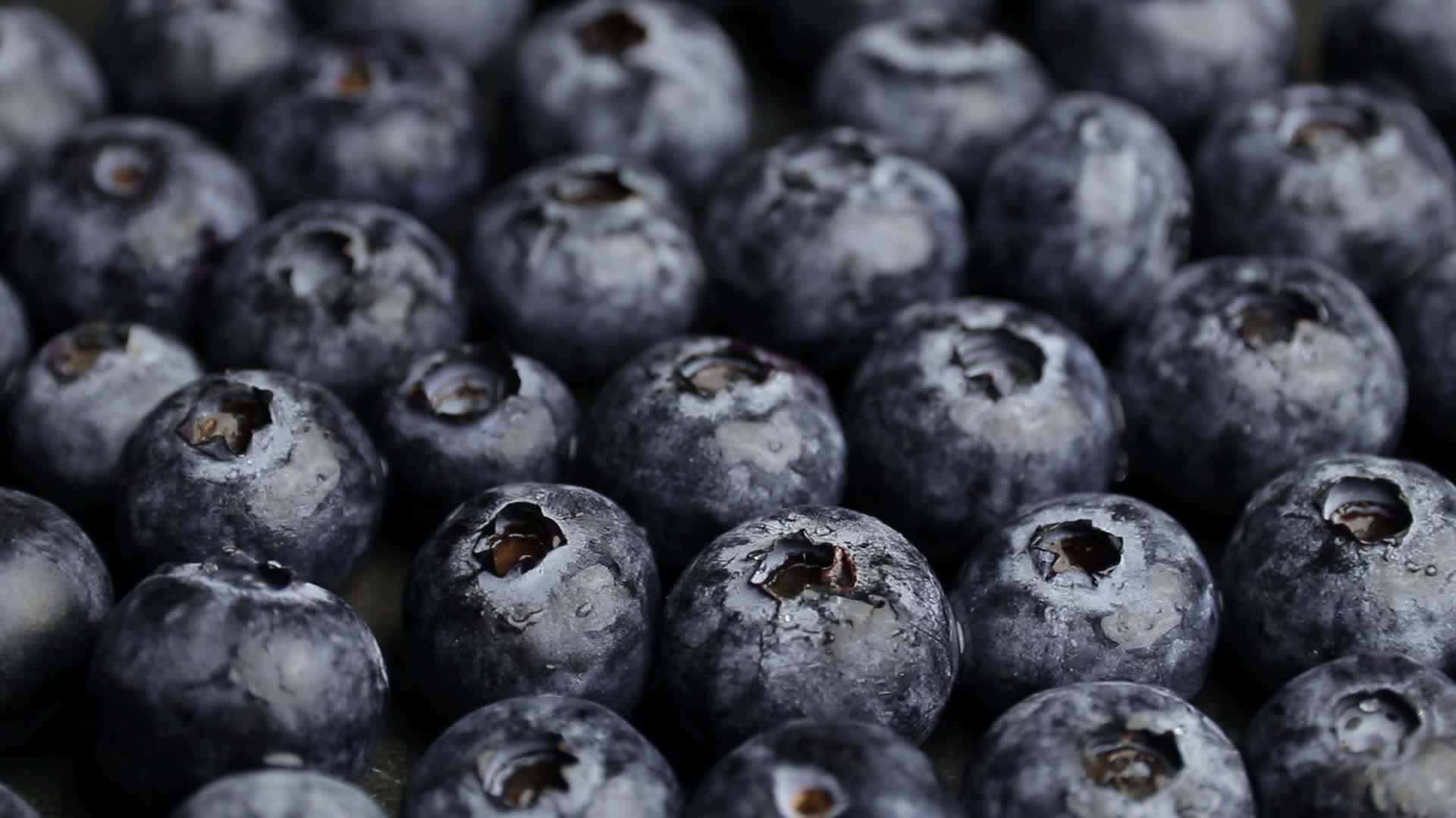 Image  A Basket of Fresh Blueberries