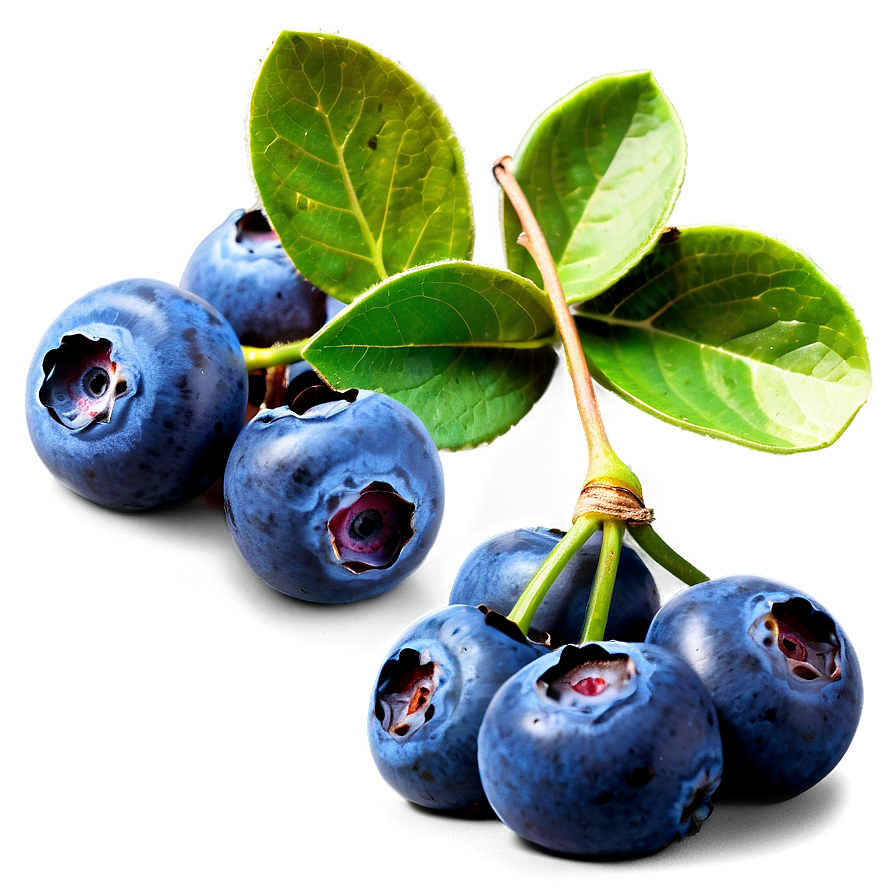 Download Blueberry Bunch Png Eol59 | Wallpapers.com