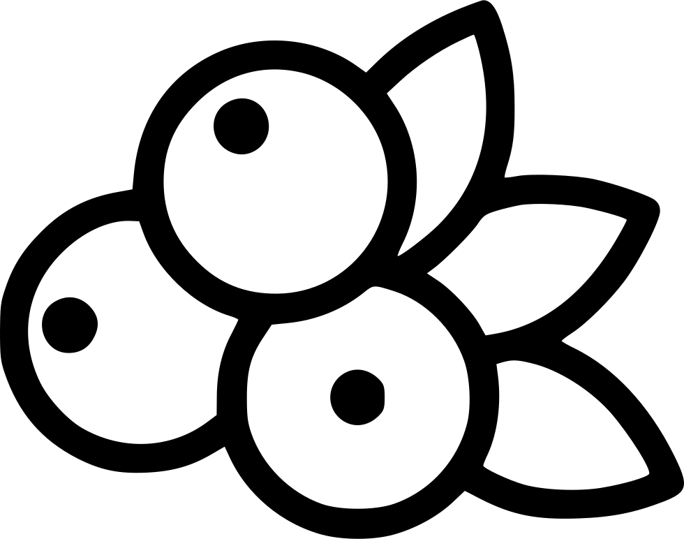 Blueberry Flower Line Art PNG