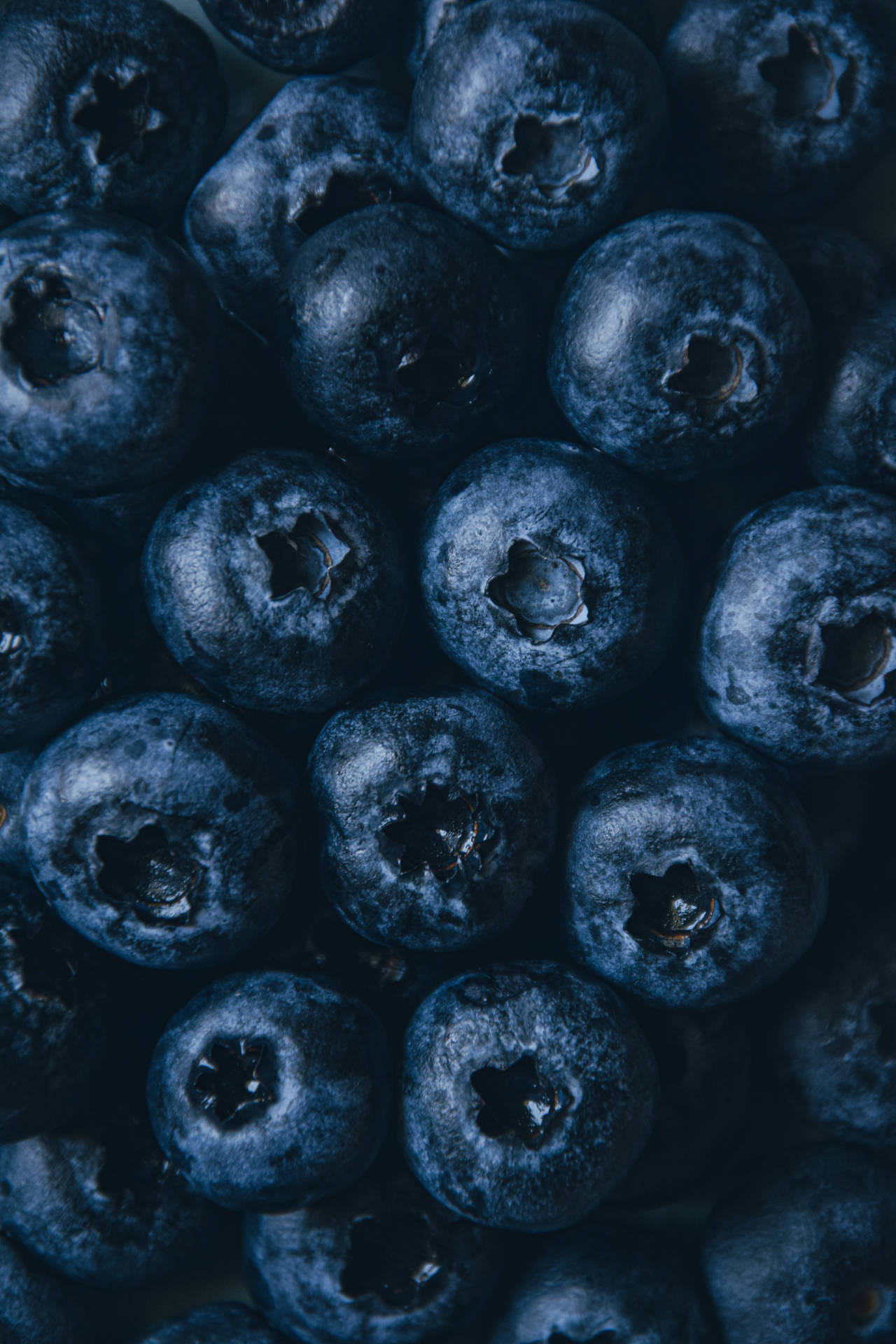 Blueberry Fruits Aesthetic Pattern Wallpaper