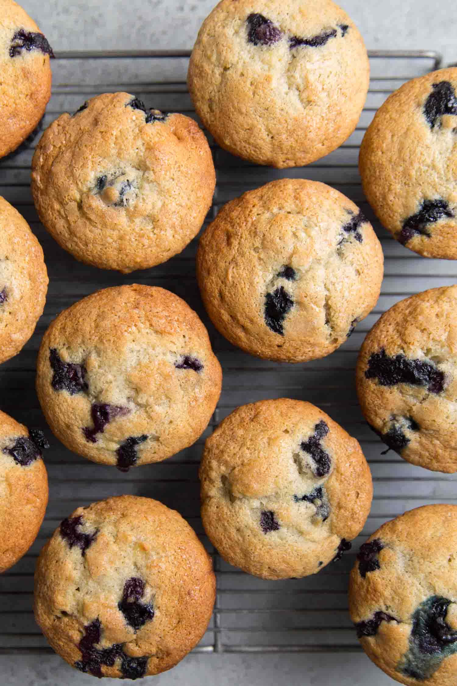 Mouthwatering Blueberry Muffins" Wallpaper