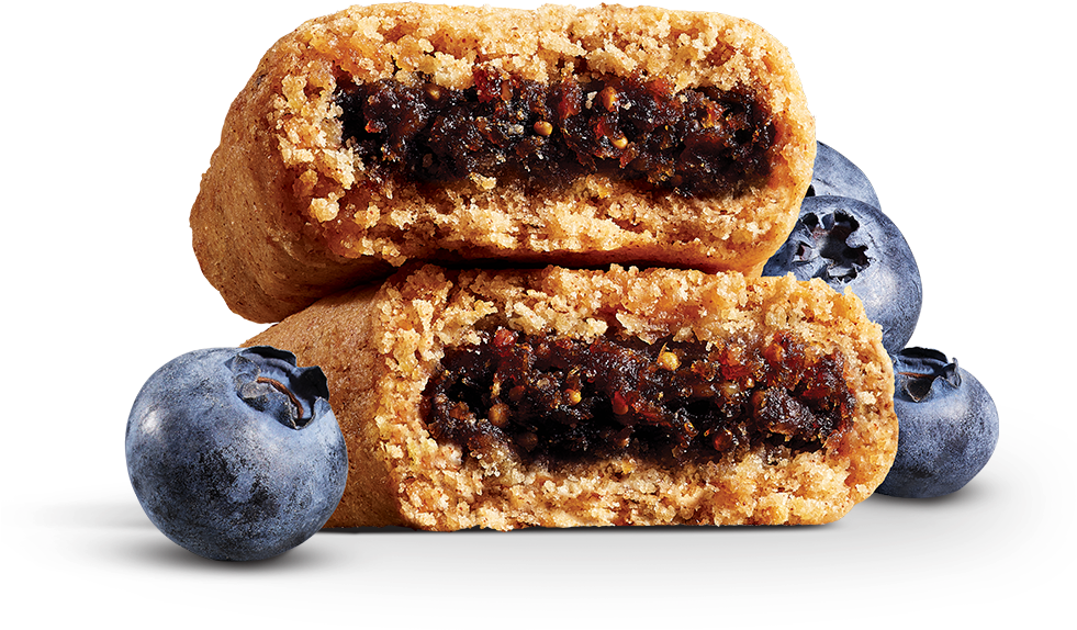 Blueberry Oatmeal Barswith Fresh Blueberries PNG