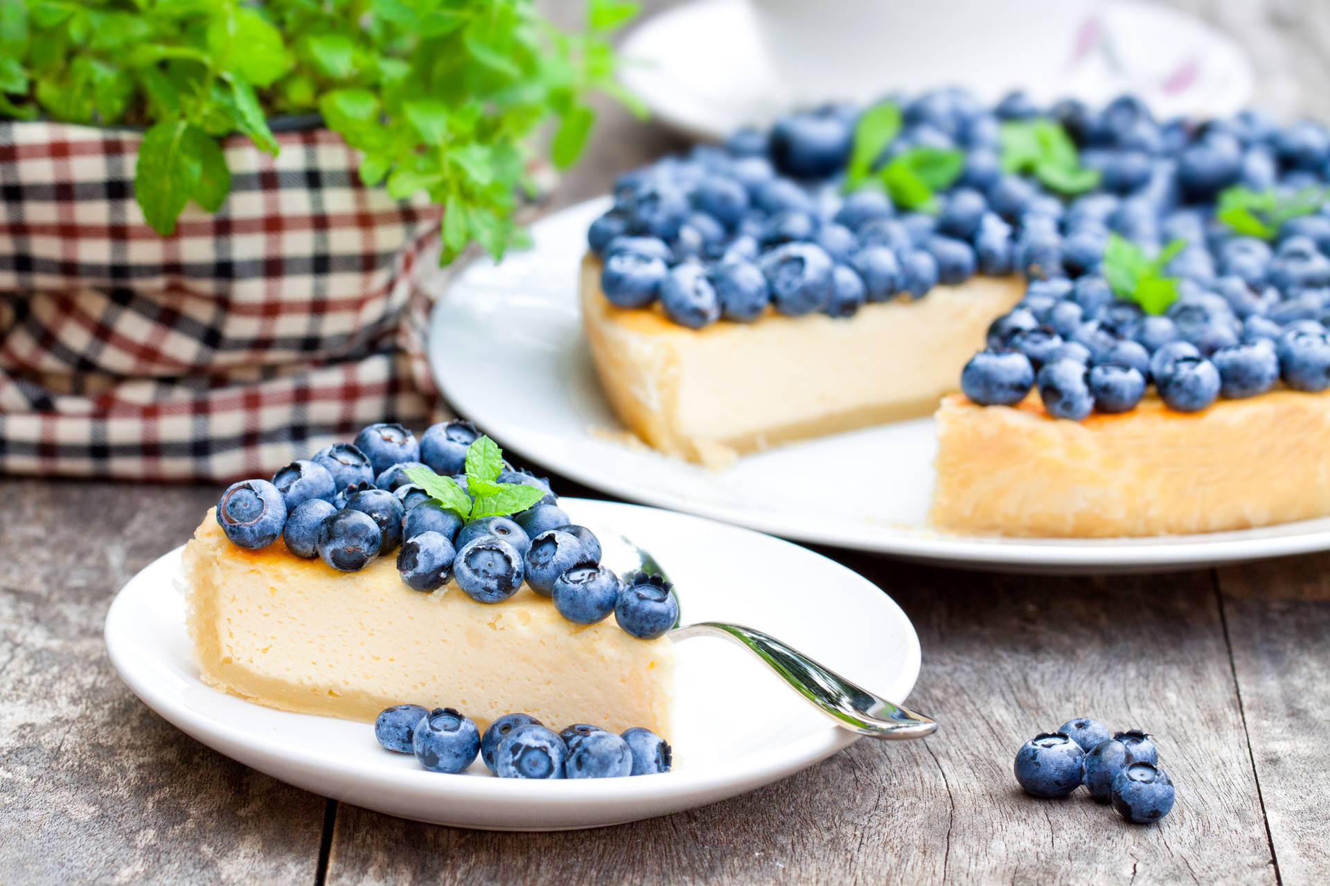 Blueberry Pie Slice On Plate