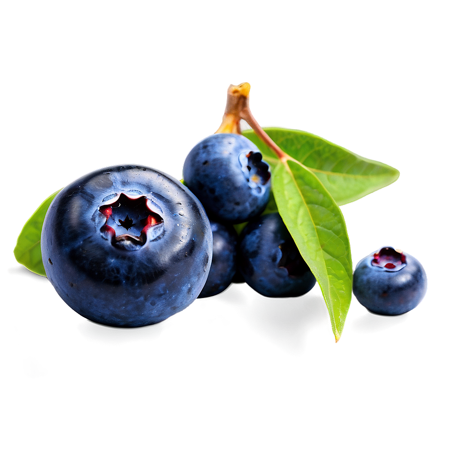 Blueberry Top View Png 05242024 PNG