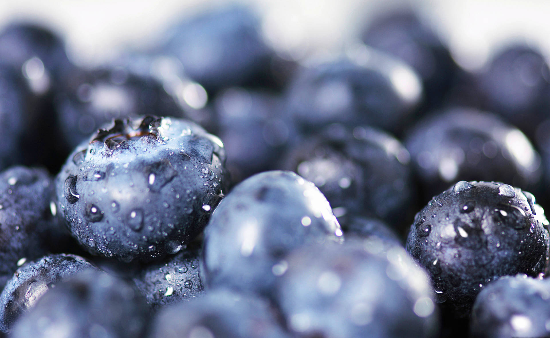 Blueberry With Waterdrops Wallpaper
