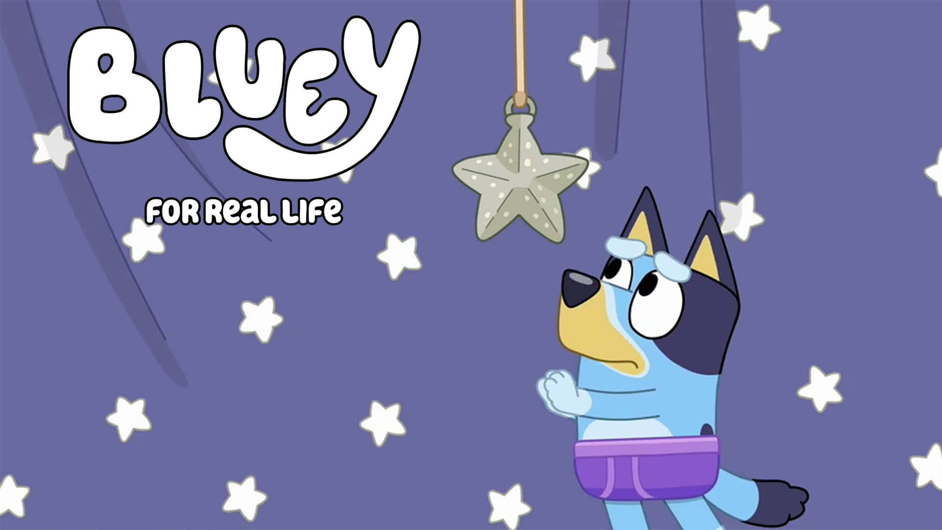 Join Bluey and Her Family On Their Adventures
