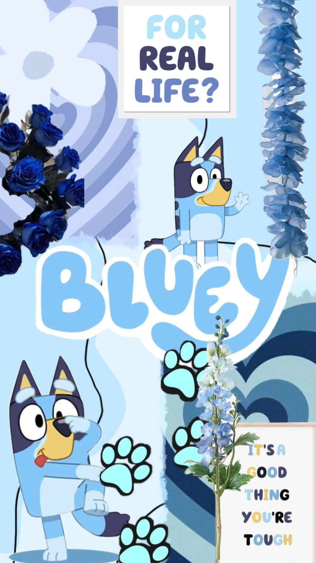 Bluey Cartoon Aesthetic Collage Wallpaper