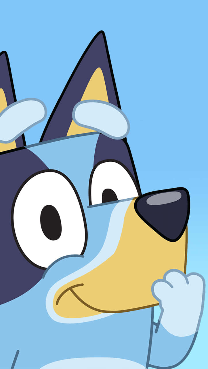 Bluey Cartoon Character Close Up Wallpaper