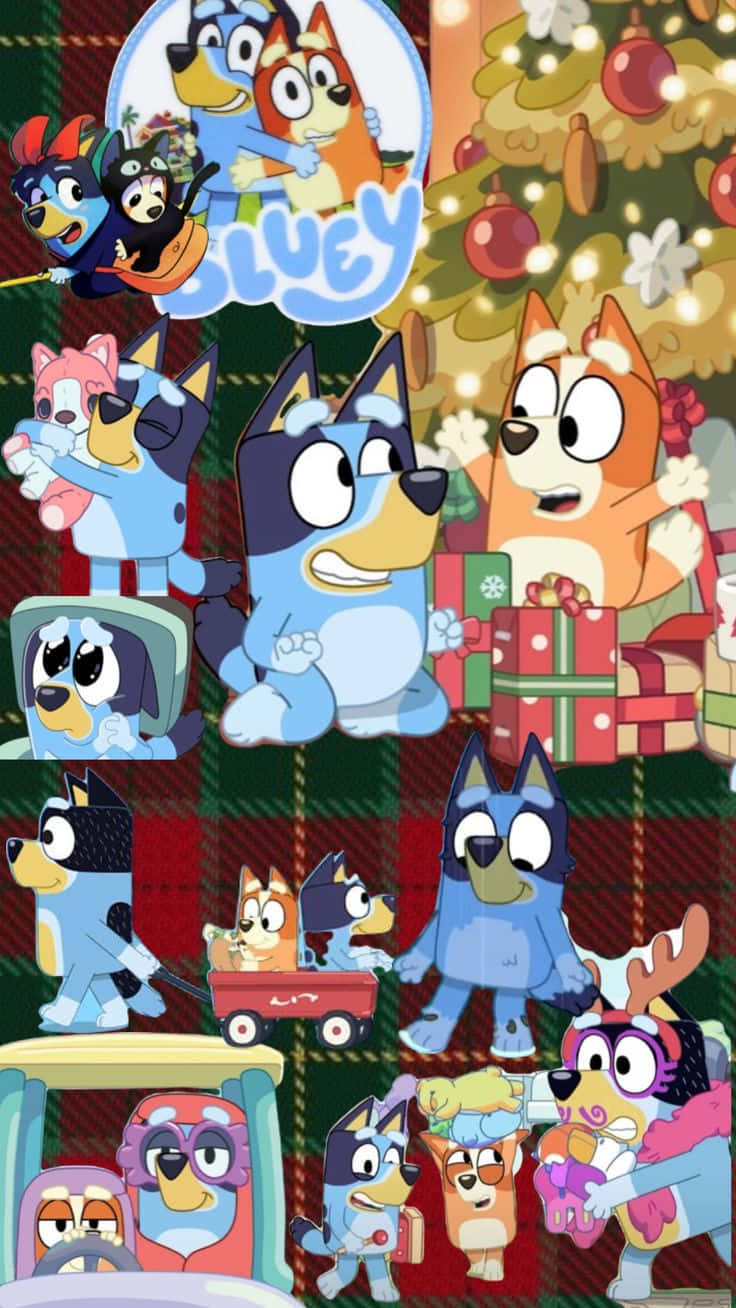 Bluey Christmas Celebration Collage Wallpaper