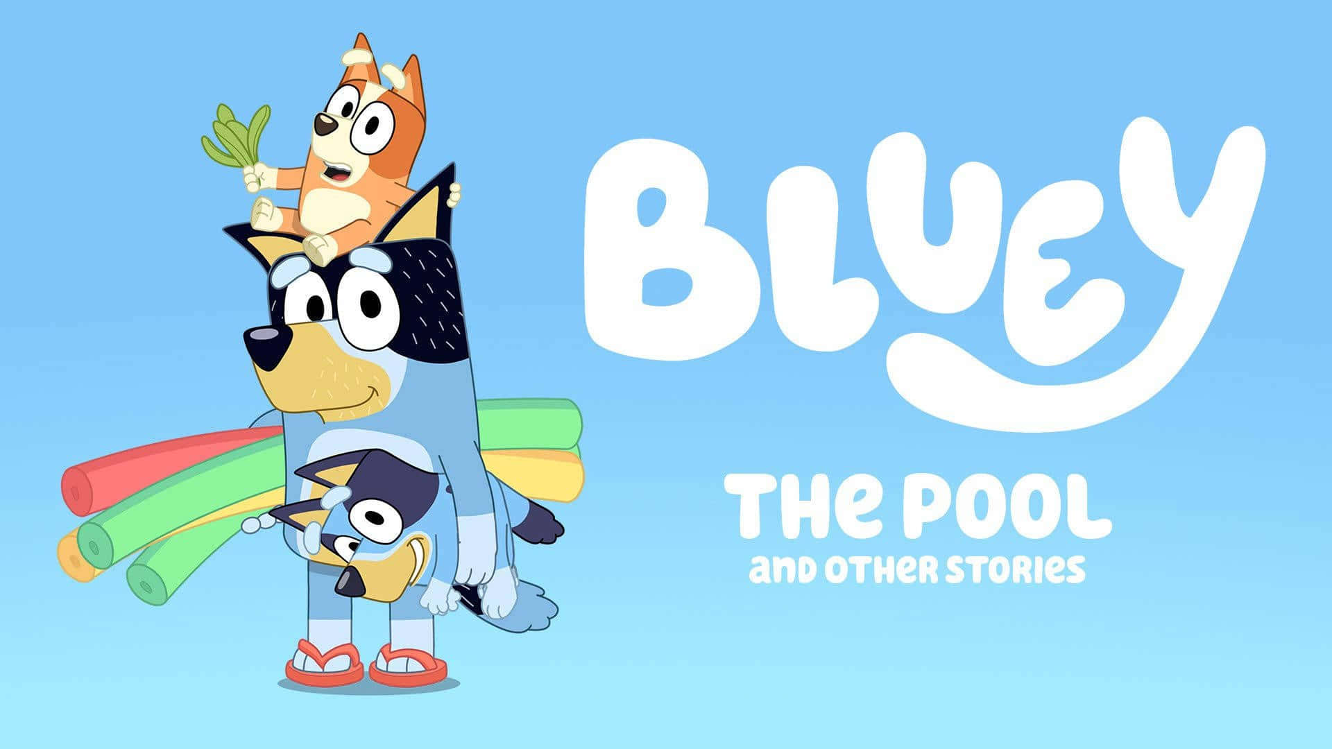 Bluey The Pool - October 2018