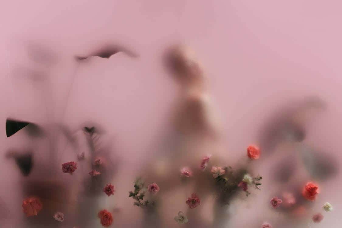 Blurred Floral Dreamscape.jpg Wallpaper