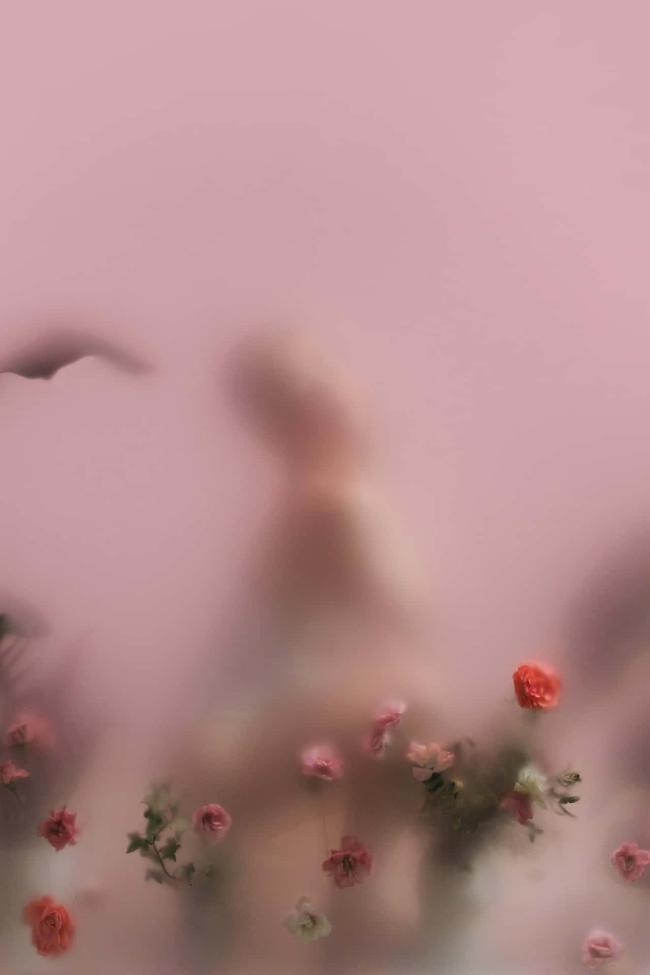 Blurred Floral Silhouette.jpg Wallpaper