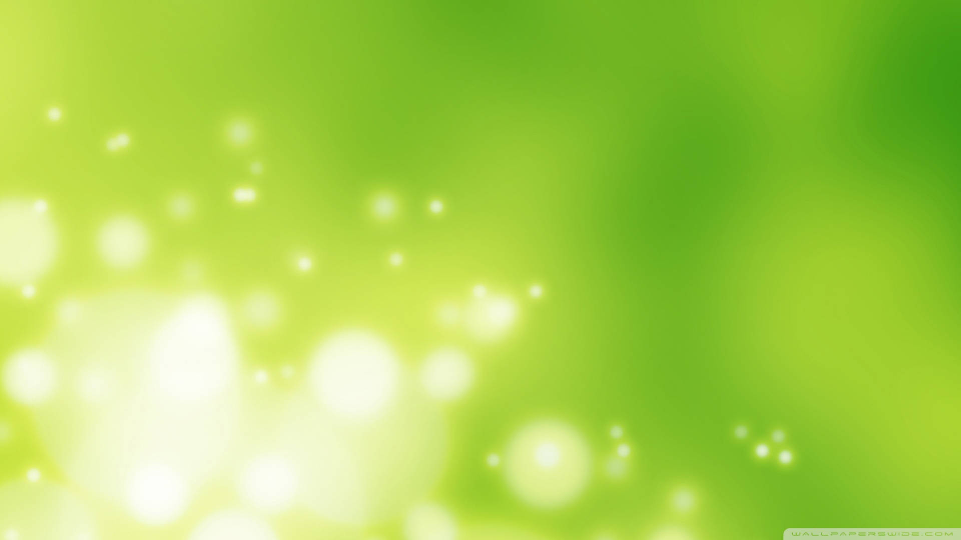 Blurred Radiant Bokeh On Light Green Plain Wallpaper