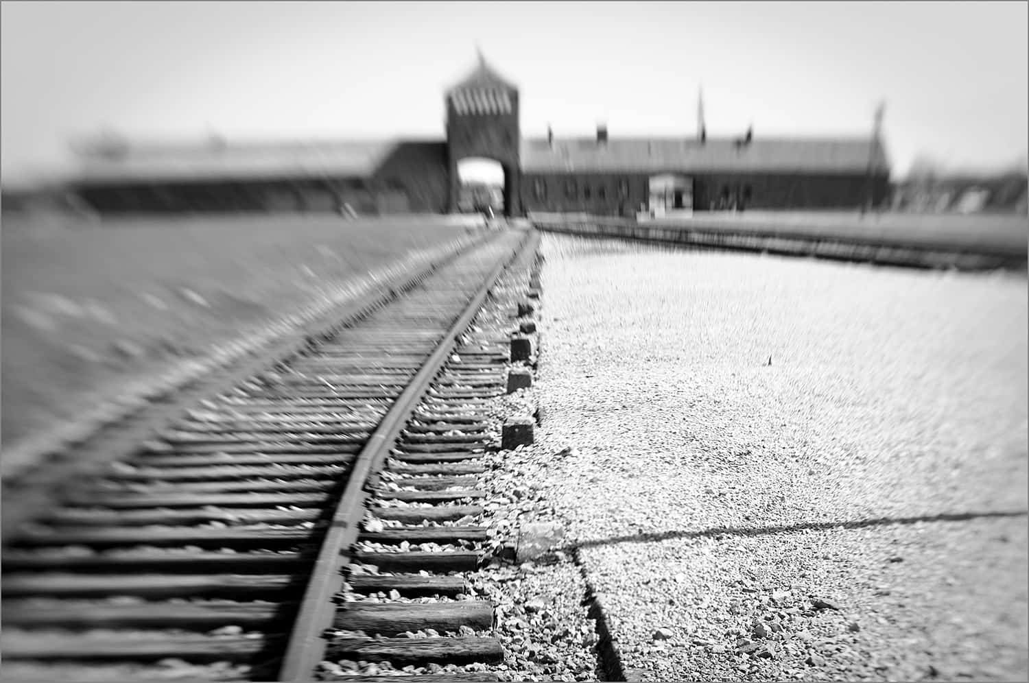 Blurry Auschwitz Birkenau Concentration Camp Picture