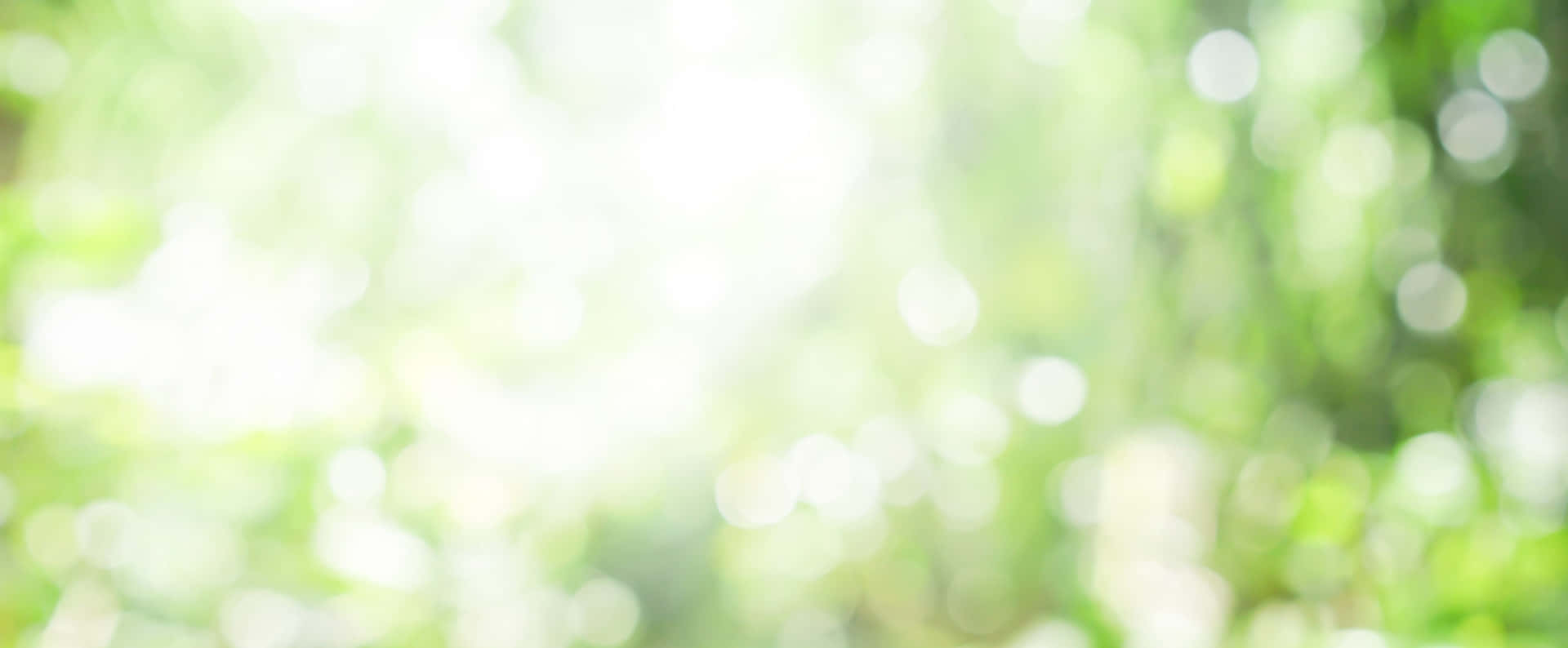 Blurry Background Bright Light Forest Surface 2560 x 1058 Background
