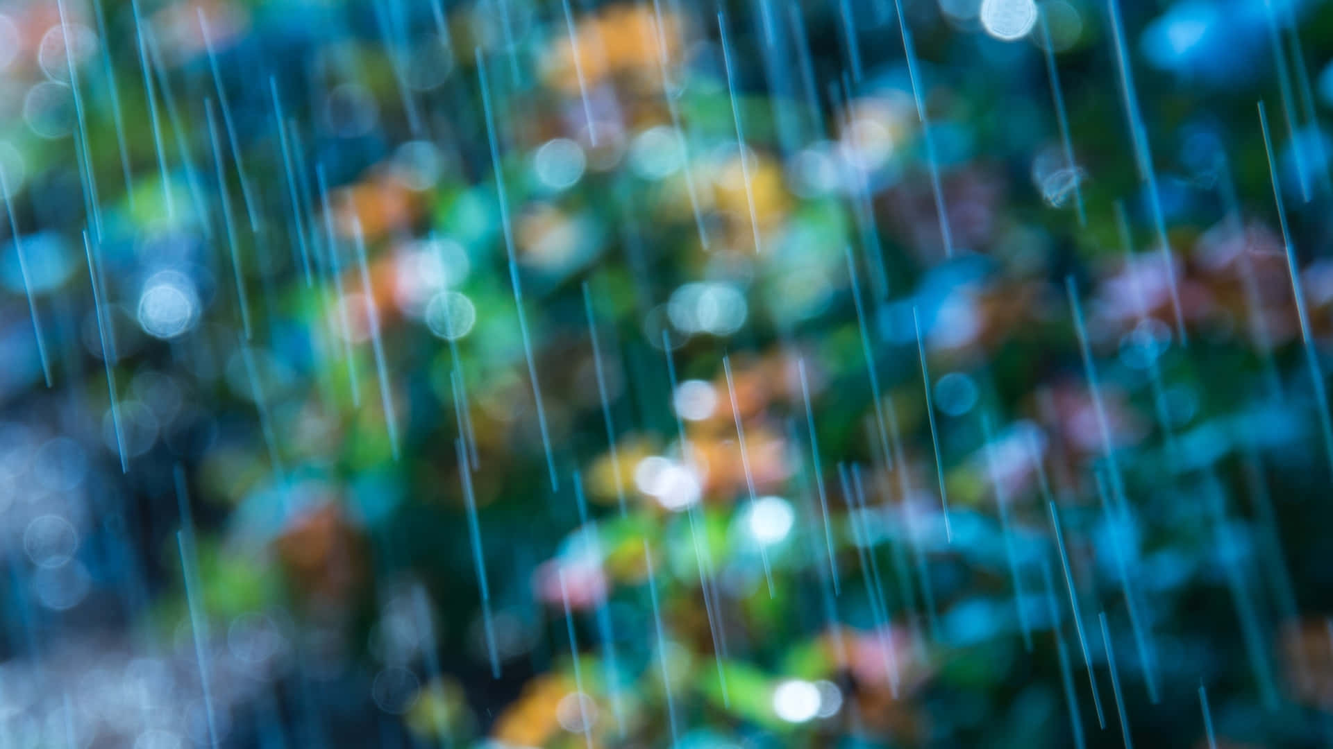 Blurry Rainfall Nature Backdrop.jpg Wallpaper