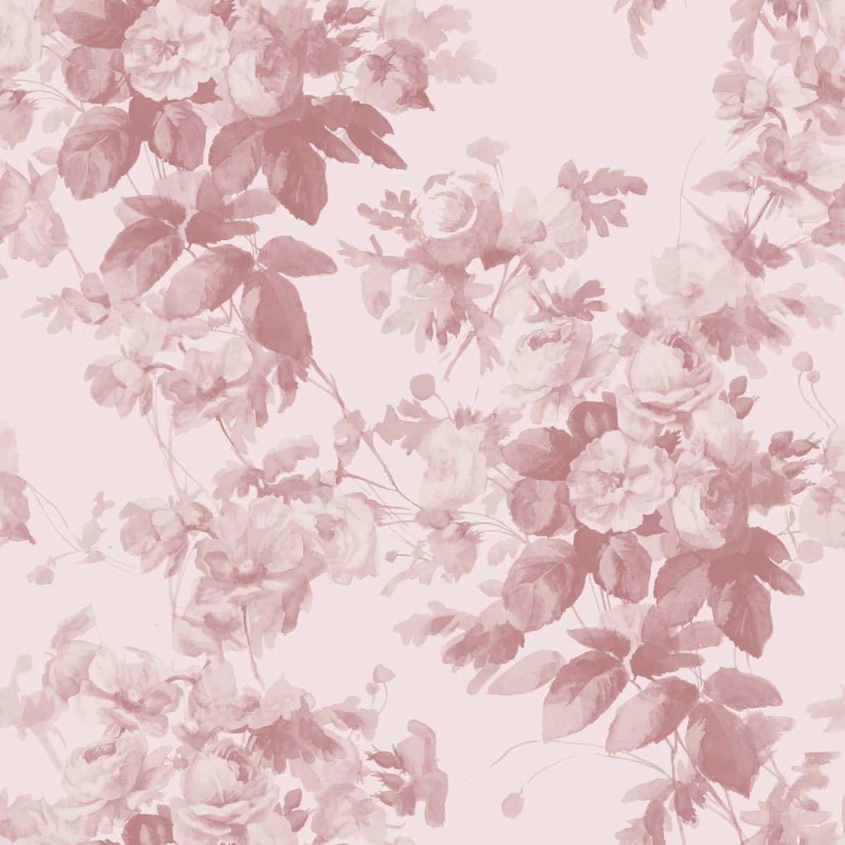 Blush_ Floral_ Pattern_ Background Wallpaper