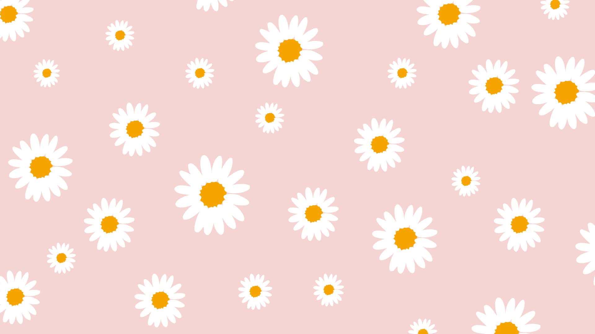 Blush Pink Daisy Pattern