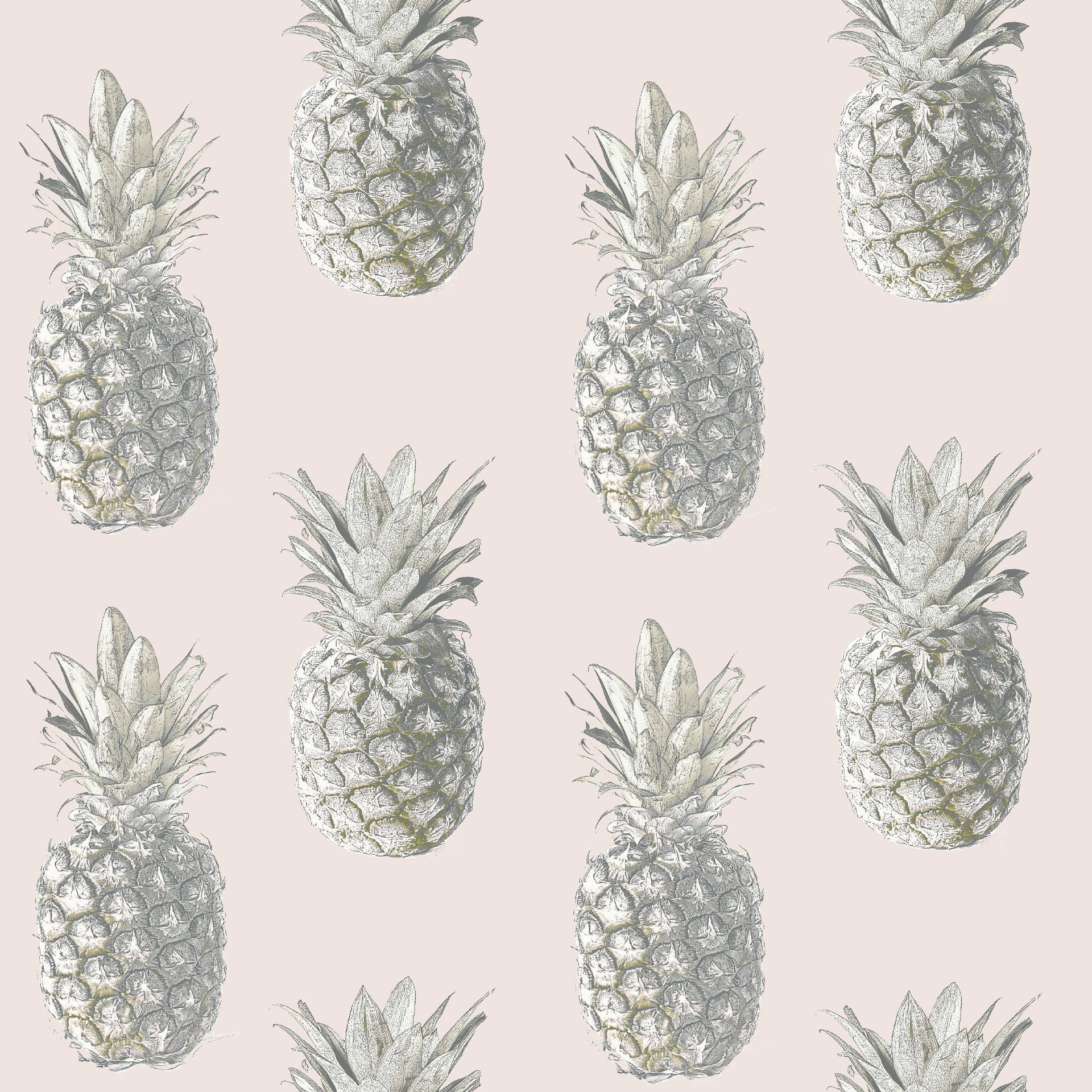 Download Blush Pink Pineapple Pattern Wallpaper 