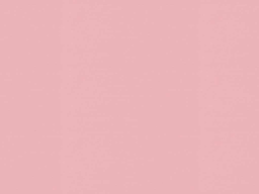 Blush Pink Solid Background Wallpaper