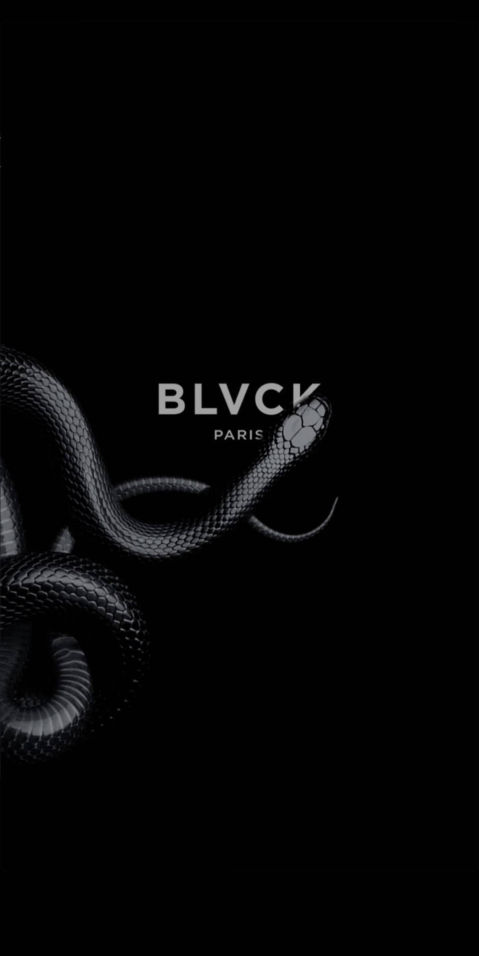 Unparalleled Fashion And Streetwear For The Young Urbanites At Blvck Paris Wallpaper