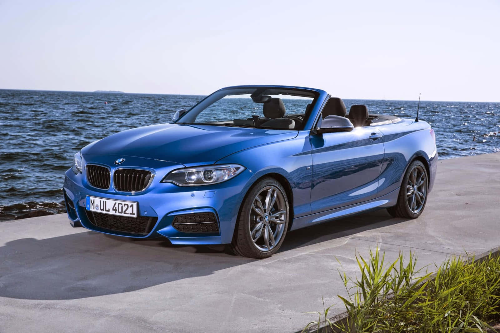 Captivating Elegance - BMW 2 Series Coupe Wallpaper