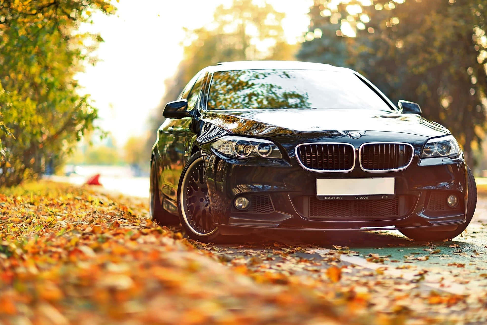 Gør dig klar til at udforske verden i luksus fra BMW. Wallpaper