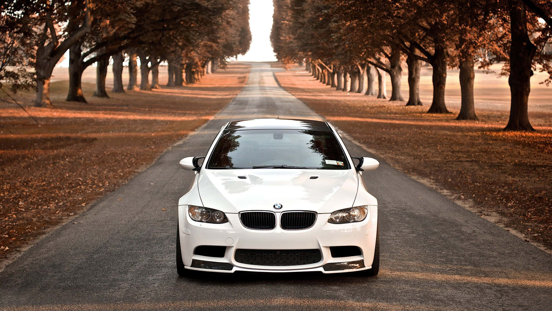 White BMW Car On The Road Wallpaper