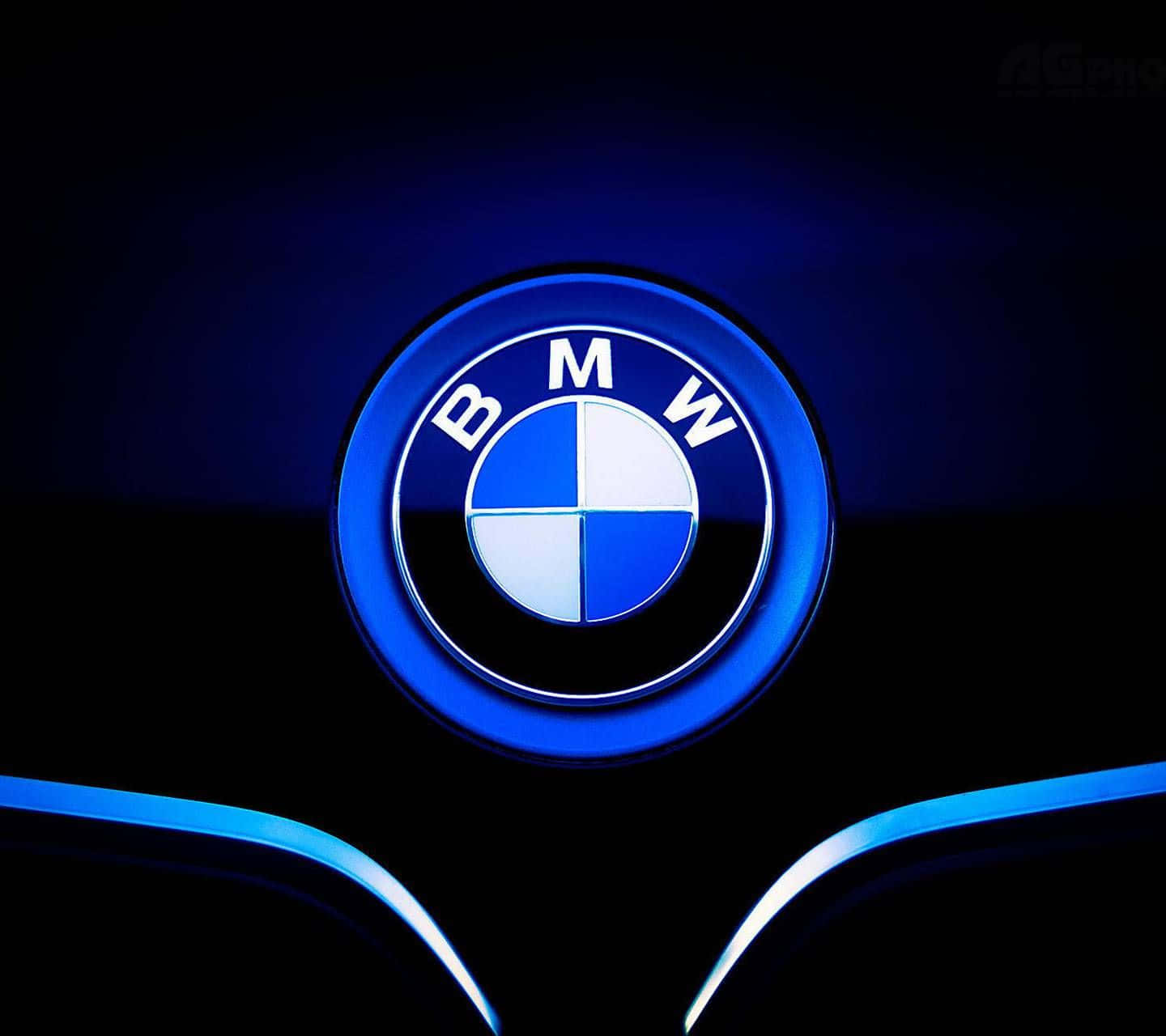 Sophisticated BMW Logo on Solid Background Wallpaper