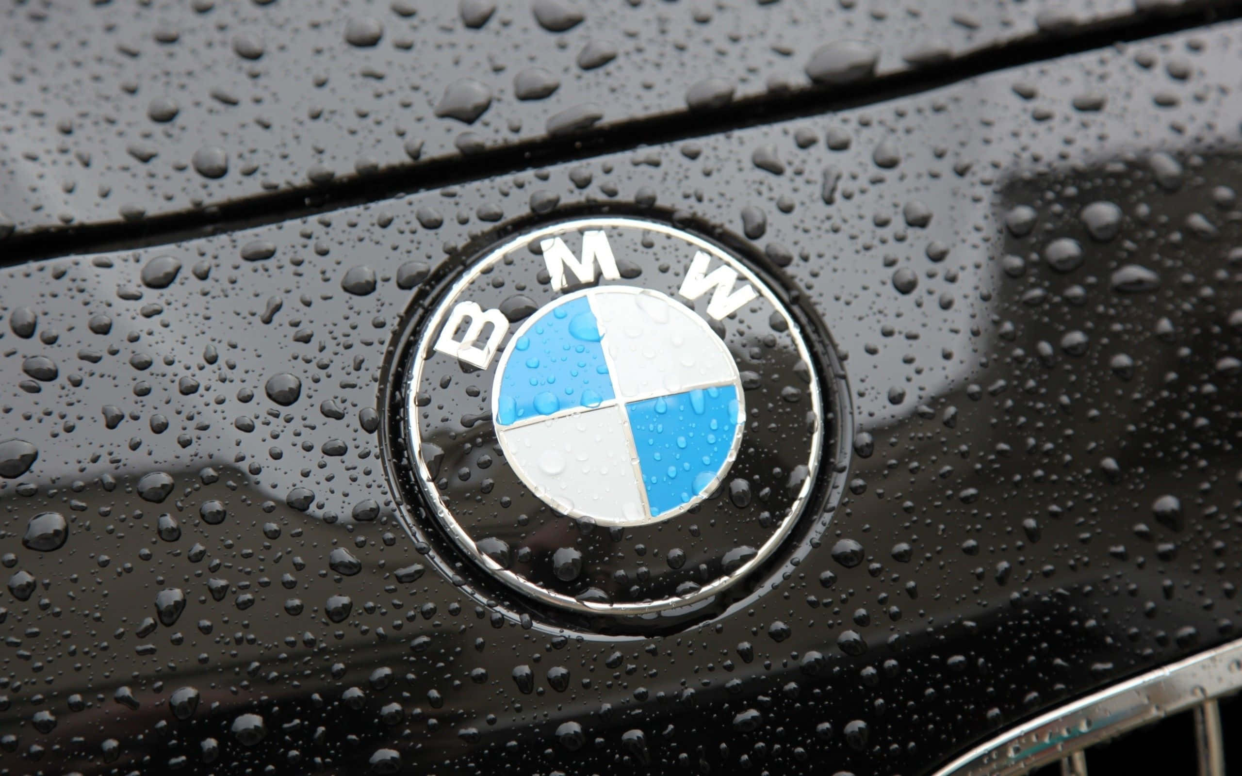 Bmw Logo Emblem Wallpaper