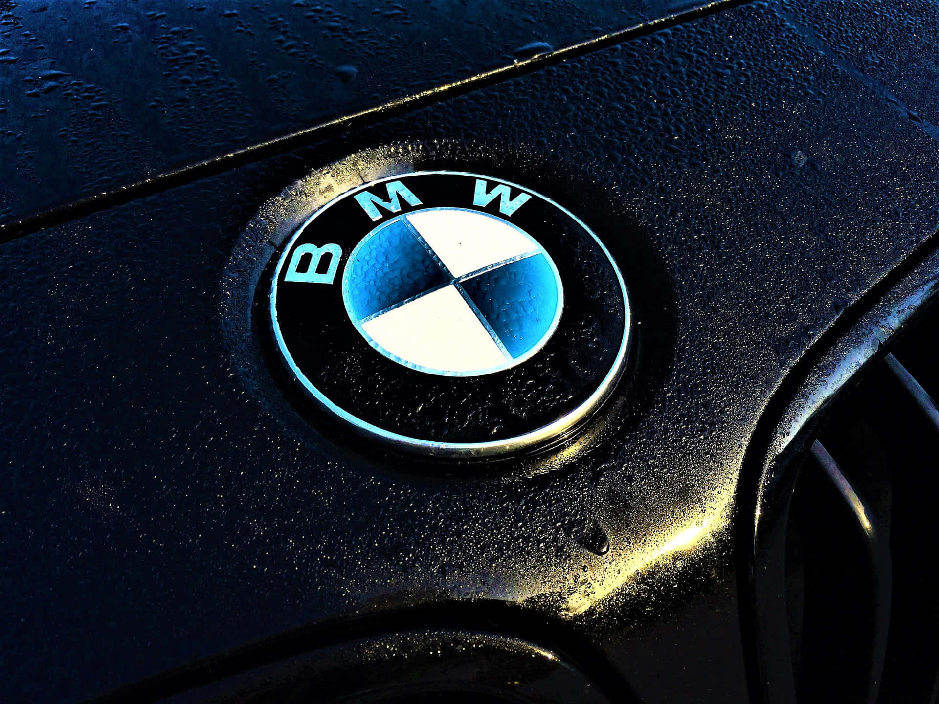 BMW logotype stands out against an empty background Wallpaper