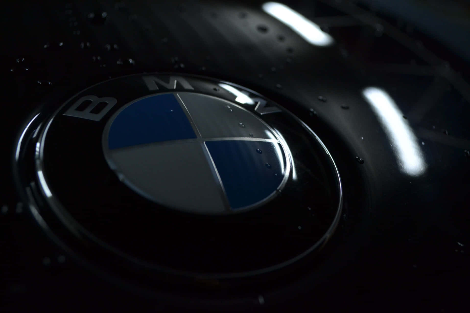 BMW Logo - Symbol of High Quality Automobile Engineering Wallpaper