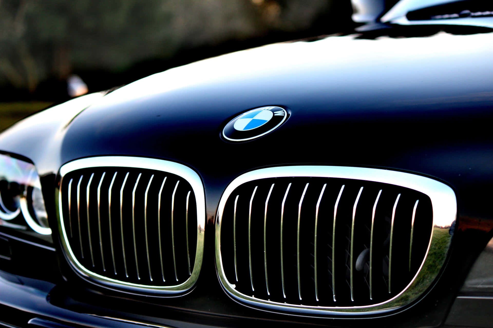 BMW Logo Wallpaper