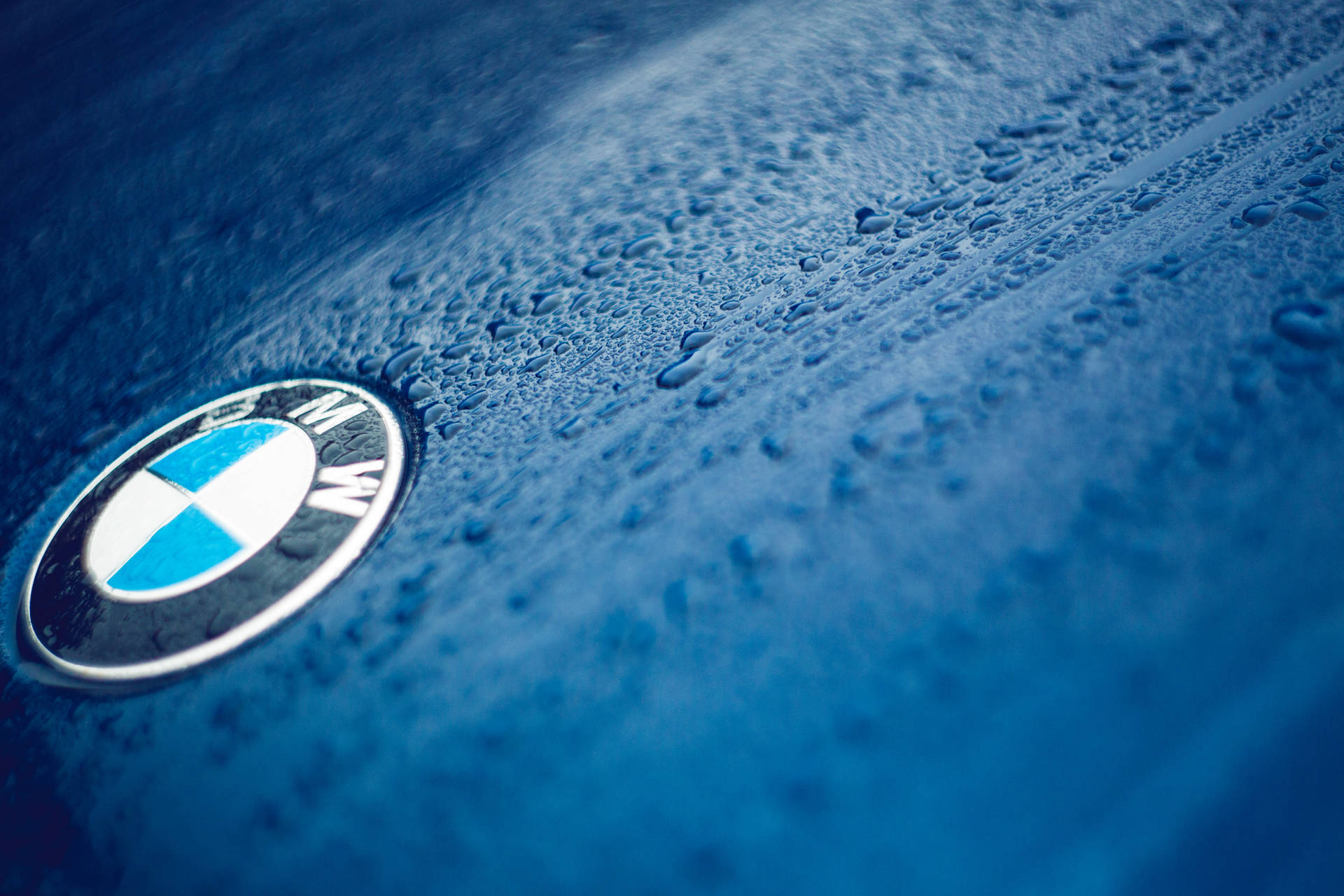 Stylish BMW Car Logo in Blue Wallpaper