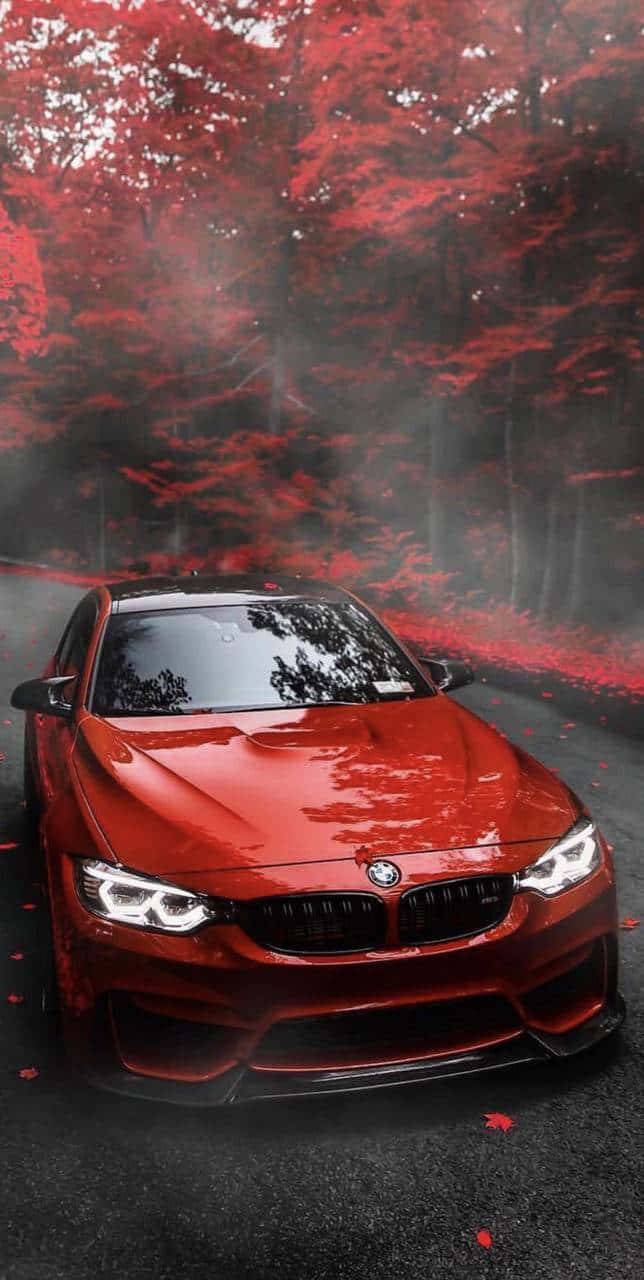 Image  Make A Distinctive Design Statement with BMW M iPhone Wallpaper