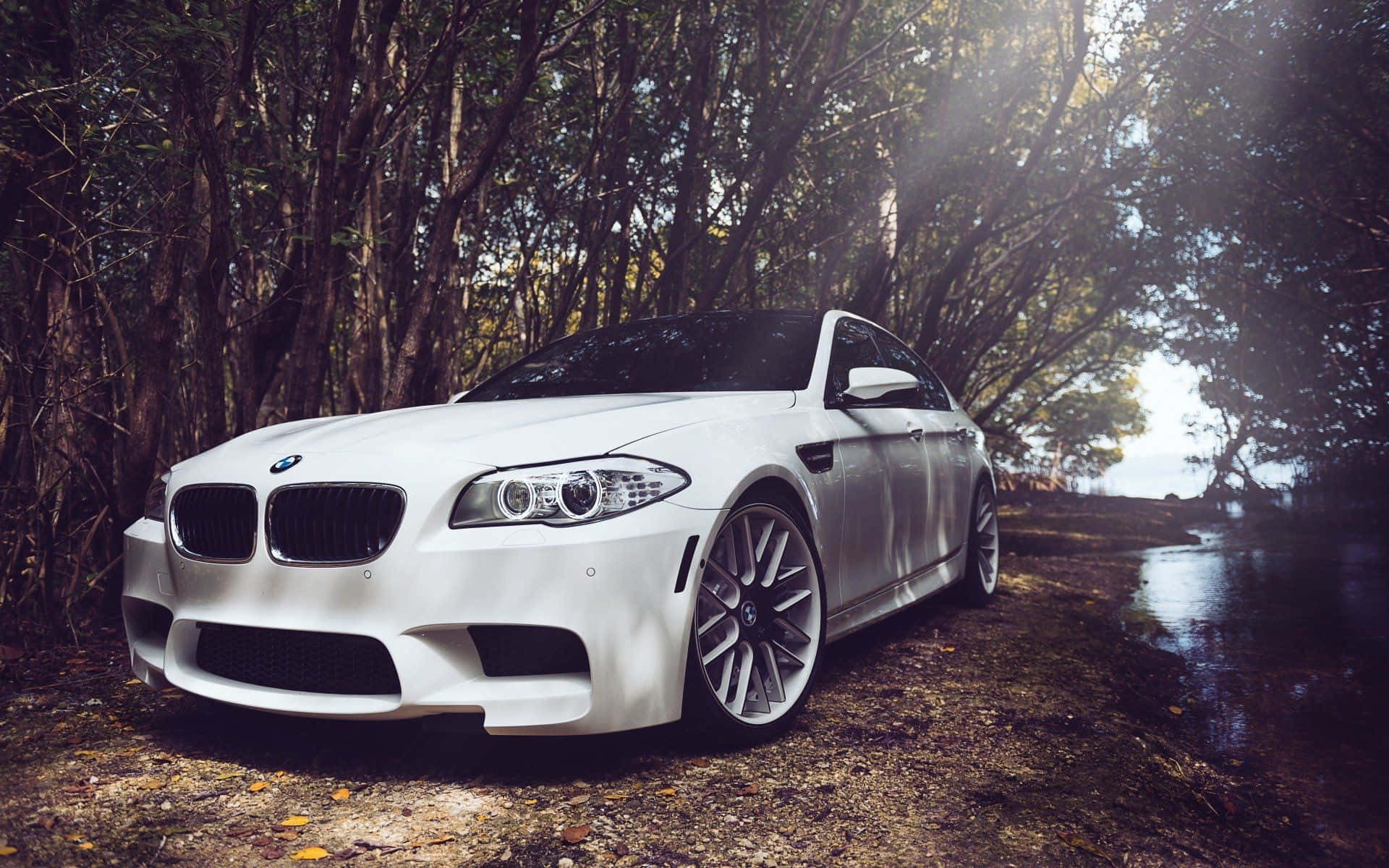 Sleek and powerful BMW M5 in action Wallpaper