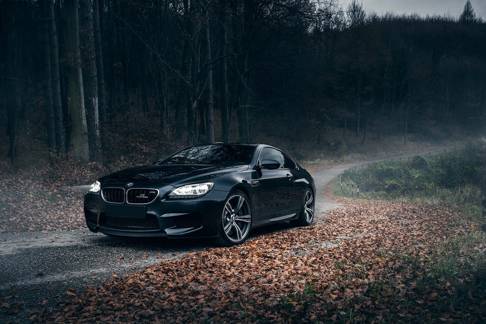 Sleek BMW M6 in Action Wallpaper